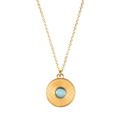 Salamander Cabochon Aquamarine Gold Kolye