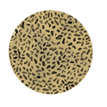 Halcon Days  BCTRA0110CG TR Leopard 10'' Coupe Plate full cover desing