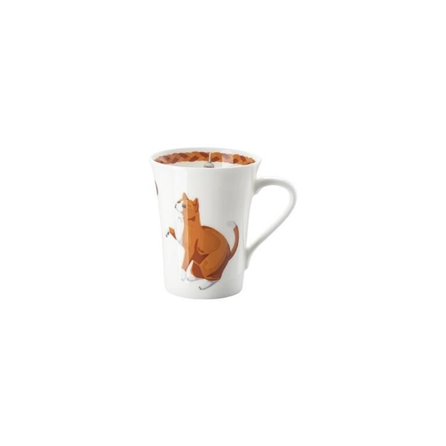 Kahve Kupa Cat